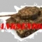 Tanksenior's Profile